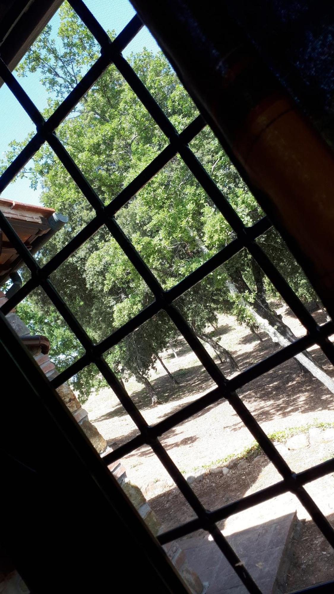 Agriturismo Podere San Lorenzo 1866 Масса-Мариттіма Екстер'єр фото