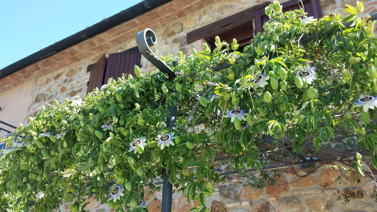 Agriturismo Podere San Lorenzo 1866 Масса-Мариттіма Екстер'єр фото